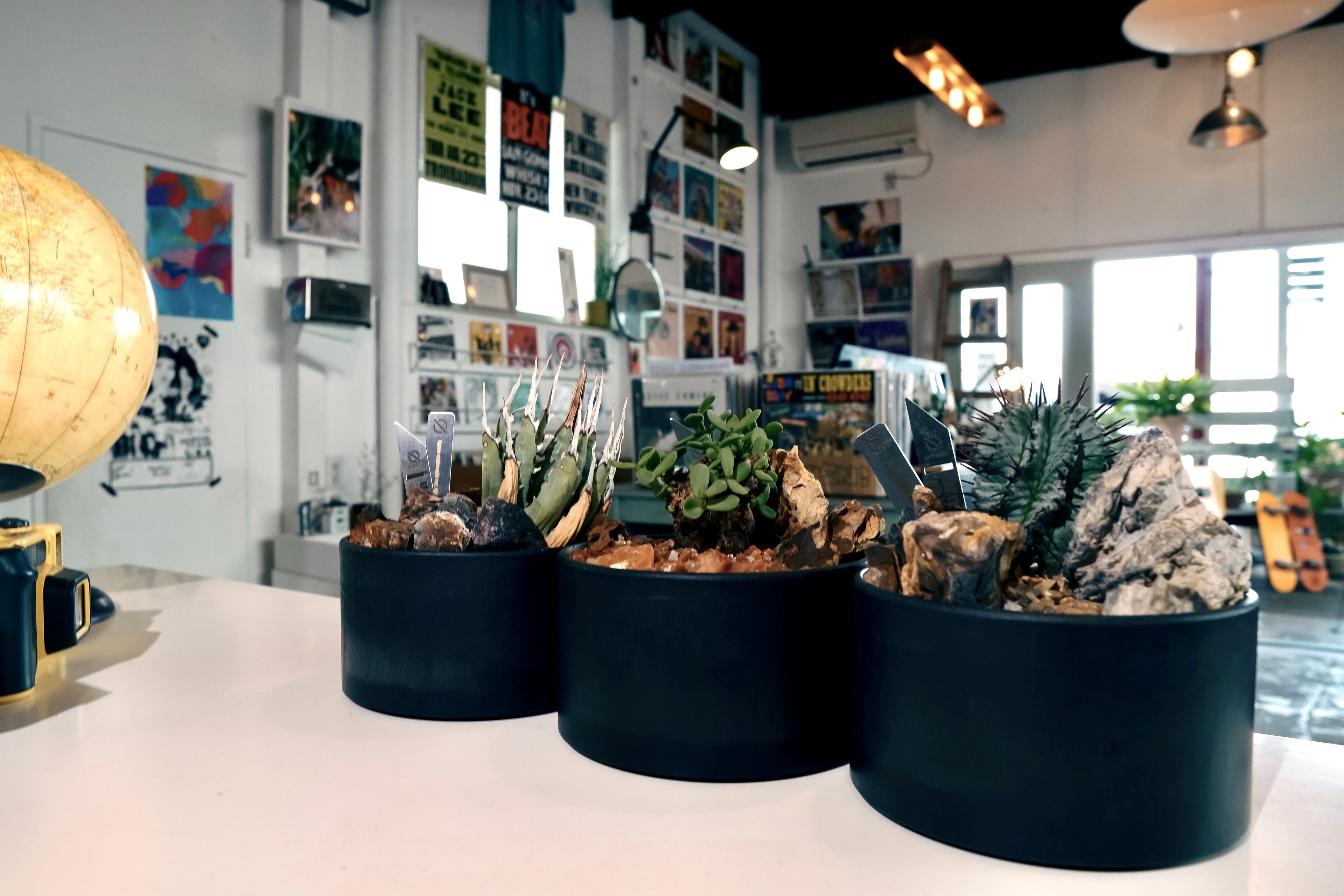 HABITAT STYLE【M】