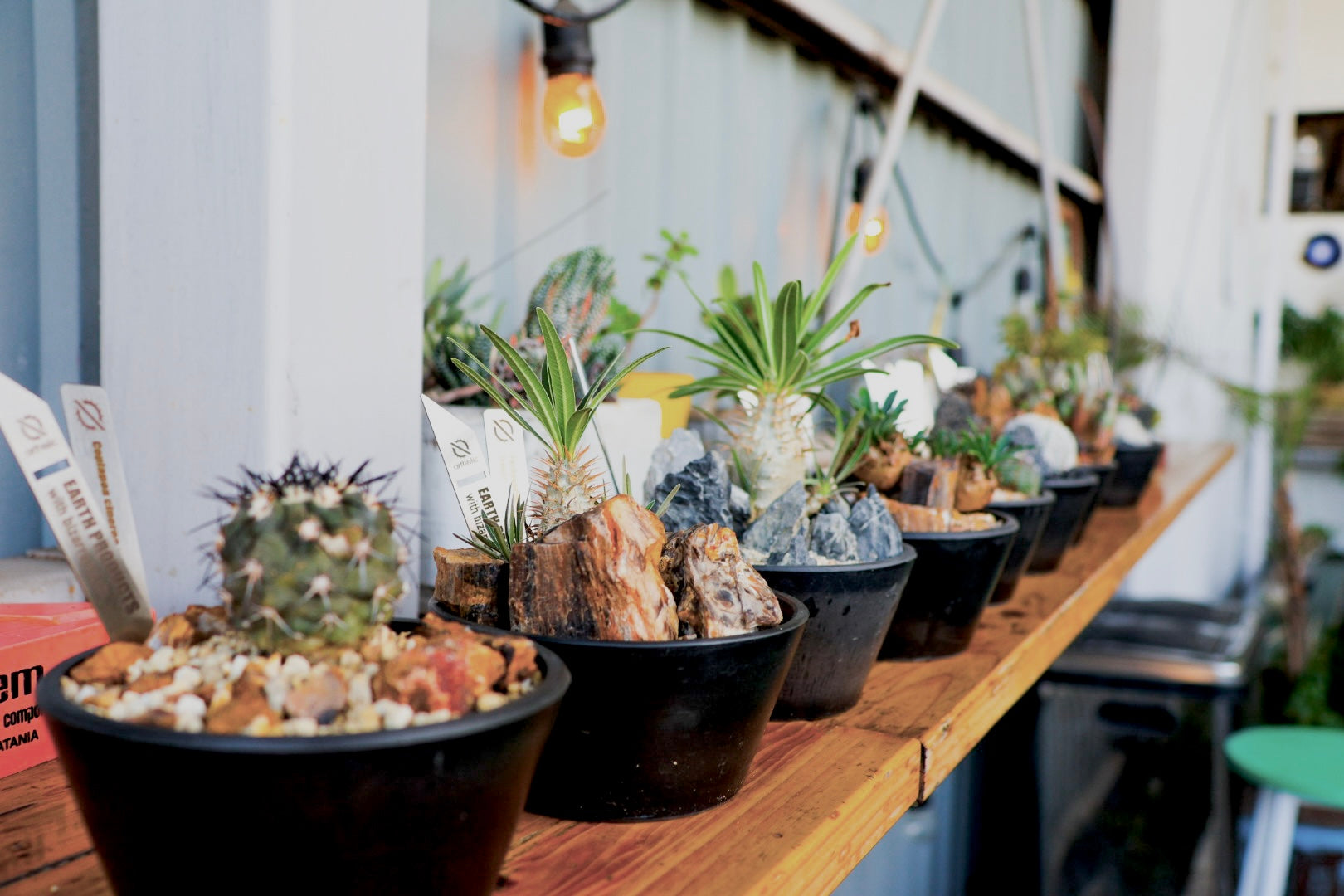 HABITAT STYLE【S】