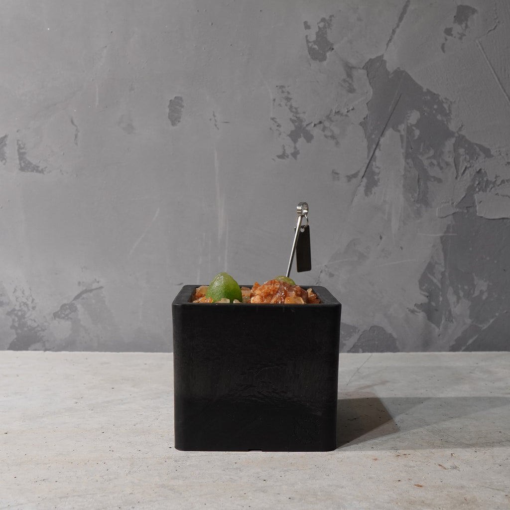 【HABITAT CUBE】コノフィツム ブルゲリ_Pizarre Plants/珍奇植物/ハビタットスタイル#artholic