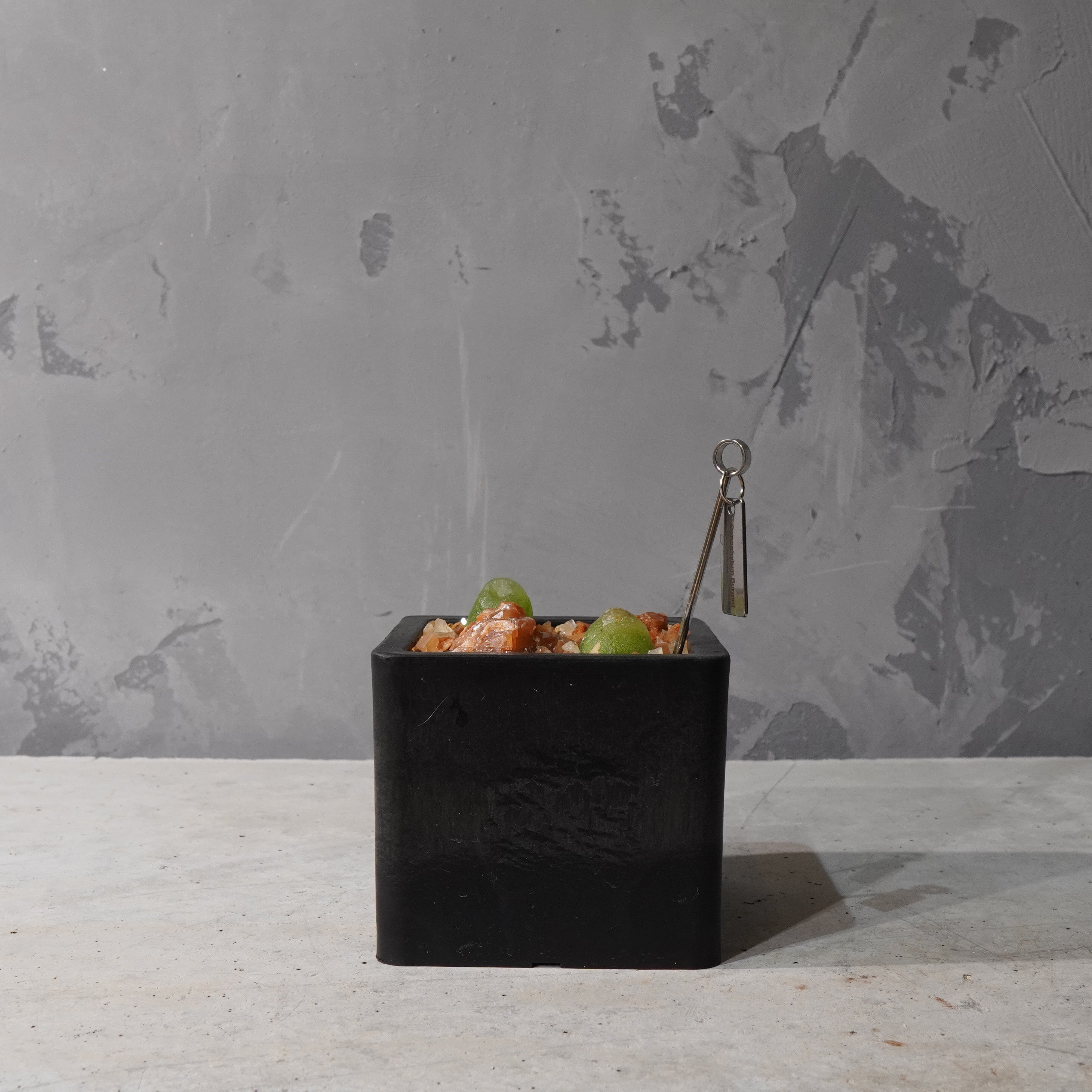 【HABITAT CUBE】コノフィツム ブルゲリ_Pizarre Plants/珍奇植物/ハビタットスタイル#artholic