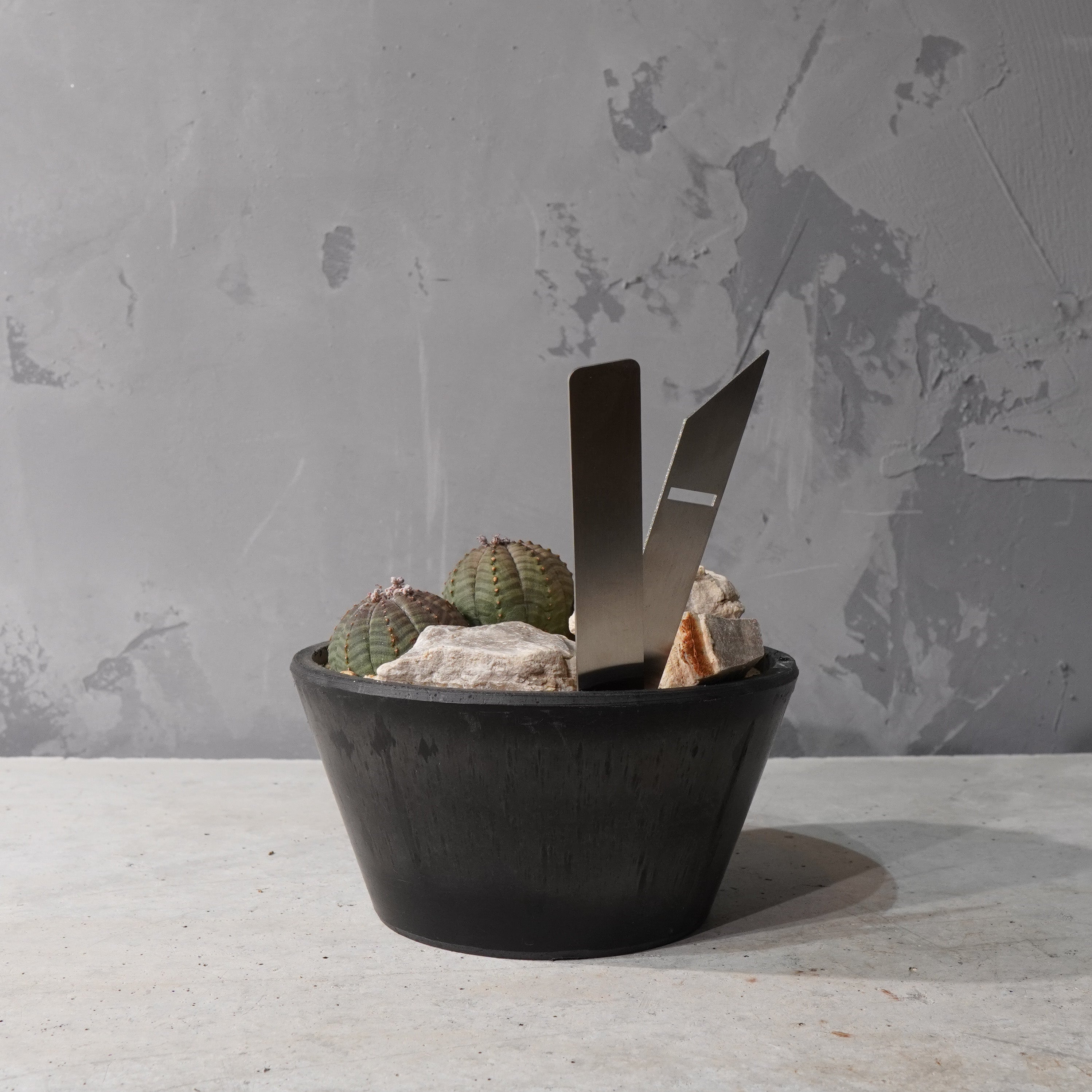 【HABITAT STYLE】ユーフォルビアオベサ_Bizarre Plants/珍奇植物/ハビタットスタイル#artholic