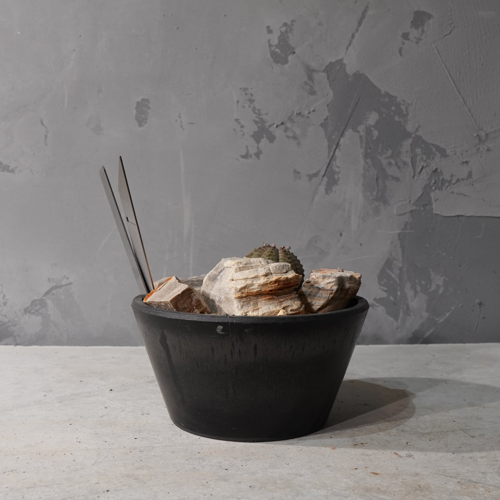 【HABITAT STYLE】ユーフォルビアオベサ_Bizarre Plants/珍奇植物/ハビタットスタイル#artholic