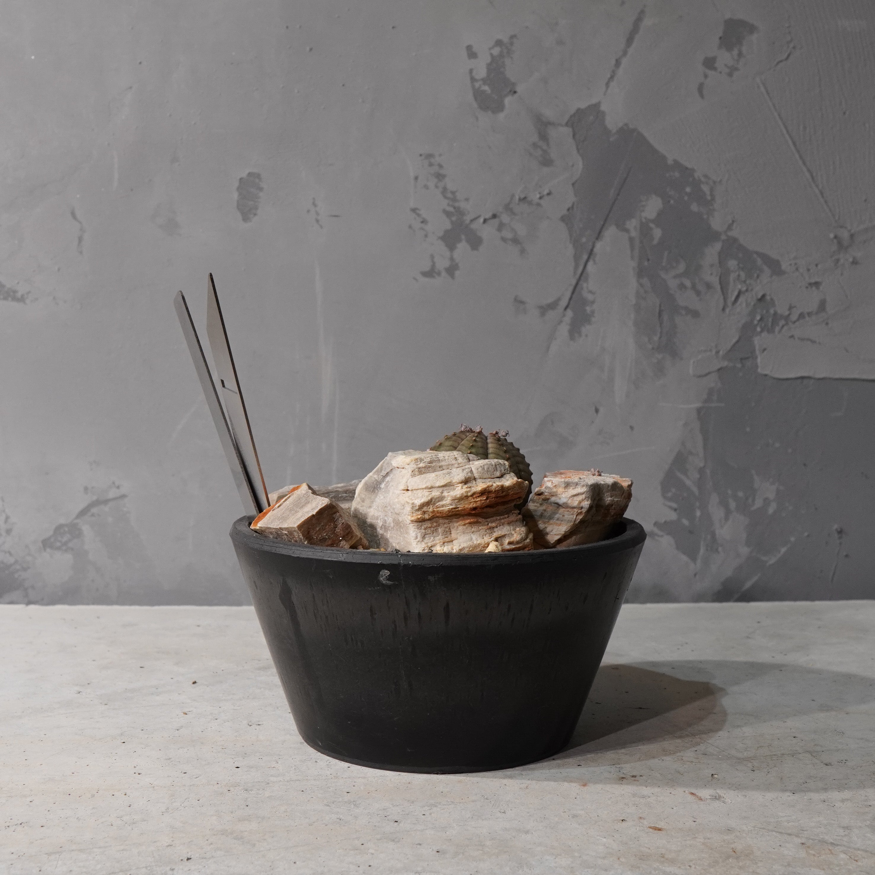 【HABITAT STYLE】ユーフォルビアオベサ_Bizarre Plants/珍奇植物/ハビタットスタイル#artholic