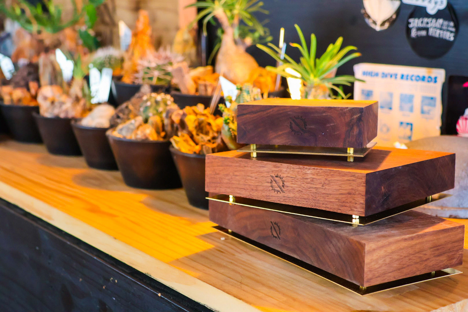 【PLANTS BASE】ウォルナット LONG SIZE#artholic