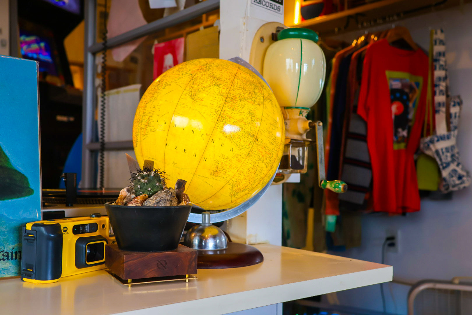 【PLANTS BASE】ウォルナット SMALL SIZE#artholic