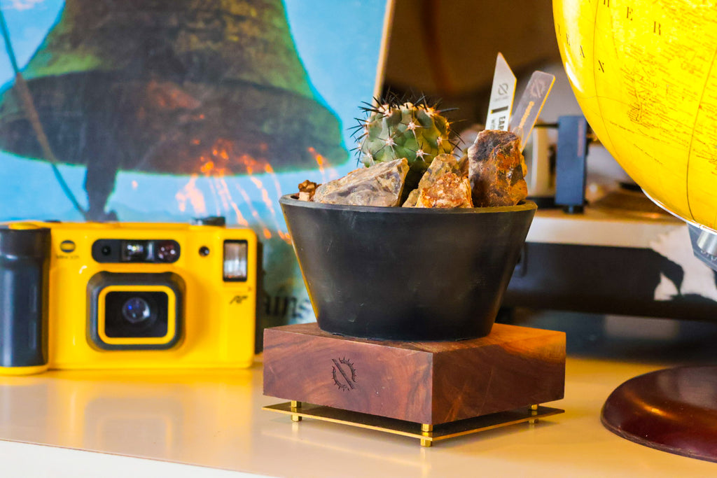 【PLANTS BASE】ウォルナット SMALL SIZE#artholic