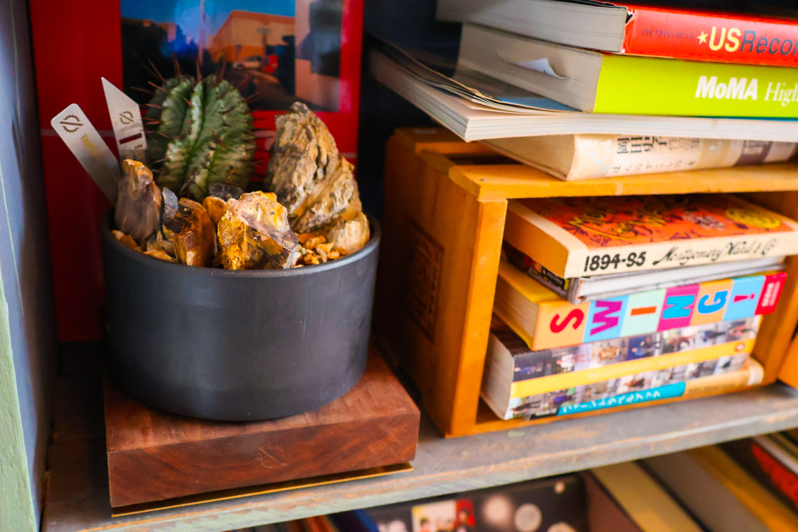 【PLANTS BASE】ウォルナット MEDIUM SIZE #artholic