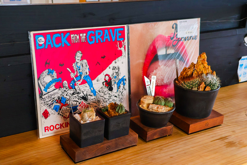 【PLANTS BASE】ウォルナット MEDIUM SIZE #artholic