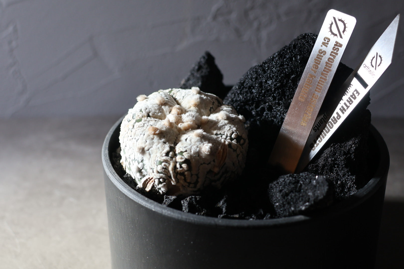 【SURFACE STONE】L KILLER WHALE(黒)_化粧石/ハビタットスタイル#artholic