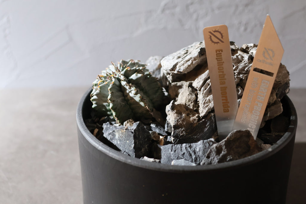 【SURFACE STONE】L_RHINO(灰)_化粧石/ハビタットスタイル#artholic