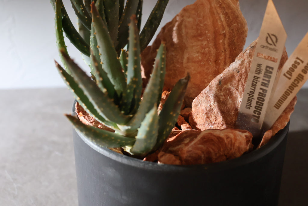 【SURFACE STONE】M_FLAMINGO(赤)_化粧石/ハビタットスタイル#artholic