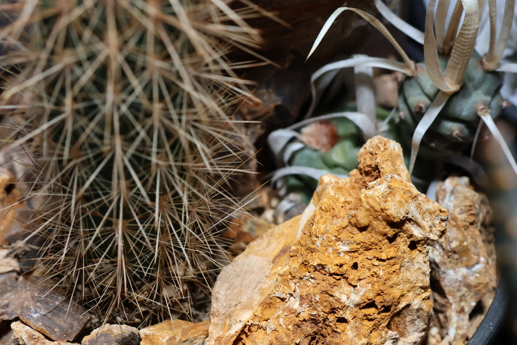 【SURFACE STONE】M_ARMADILLO(黄)_化粧石/ハビタットスタイル#artholic