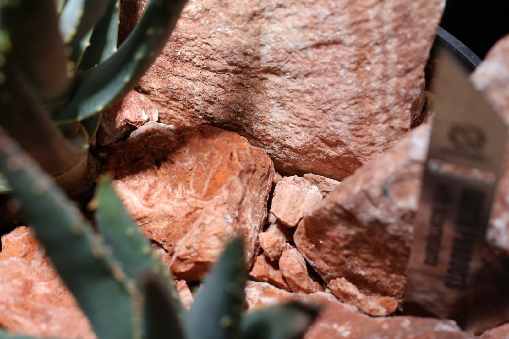 【SURFACE STONE】S_FLAMINGO(赤)_化粧石/ハビタットスタイル#artholic