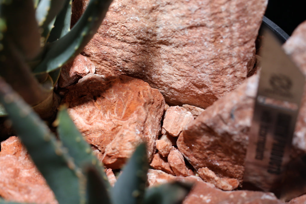 【SURFACE STONE】M_FLAMINGO(赤)_化粧石/ハビタットスタイル#artholic