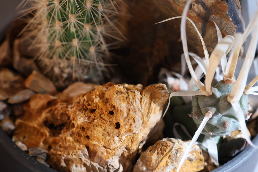 【SURFACE STONE】L_ARMADILLO(黄)_化粧石/ハビタットスタイル#artholic