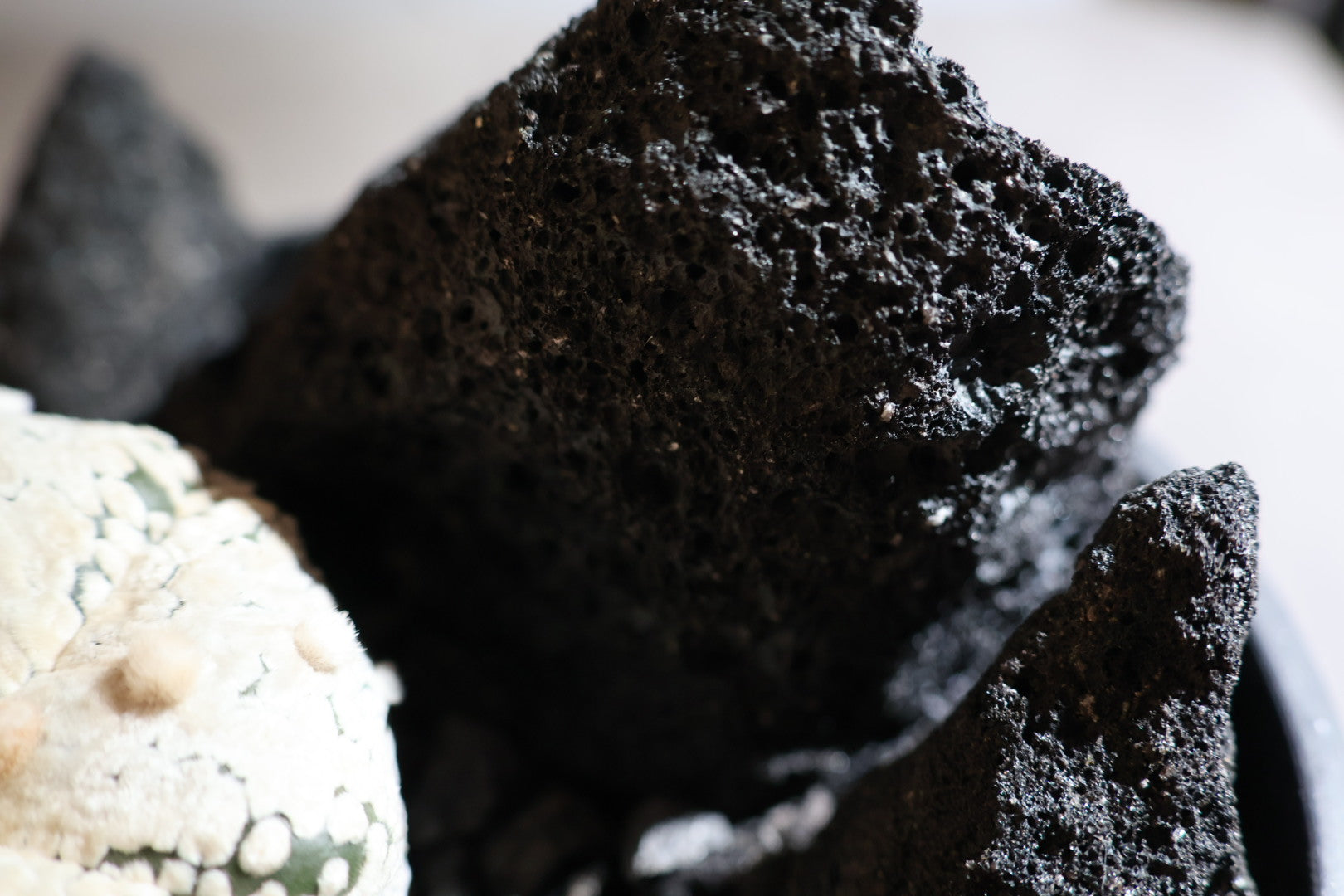 【SURFACE STONE】L KILLER WHALE(黒)_化粧石/ハビタットスタイル#artholic