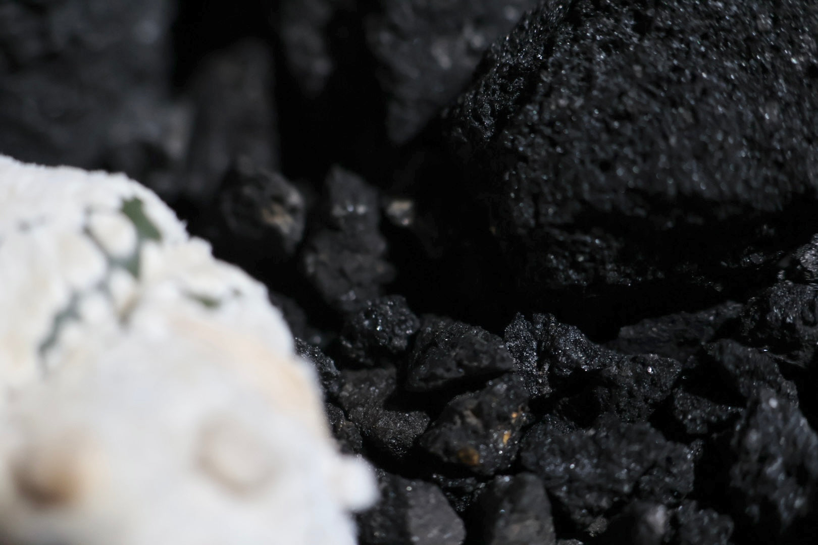 【SURFACE STONE】S KILLER WHALE(黒)_化粧石/ハビタットスタイル#artholic