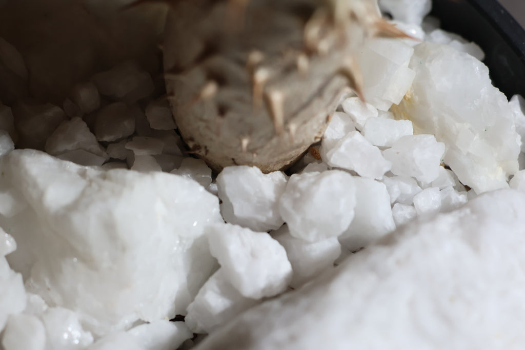 【SURFACE STONE】S_POLAR BEAR(白)_化粧石/ハビタットスタイル#artholic