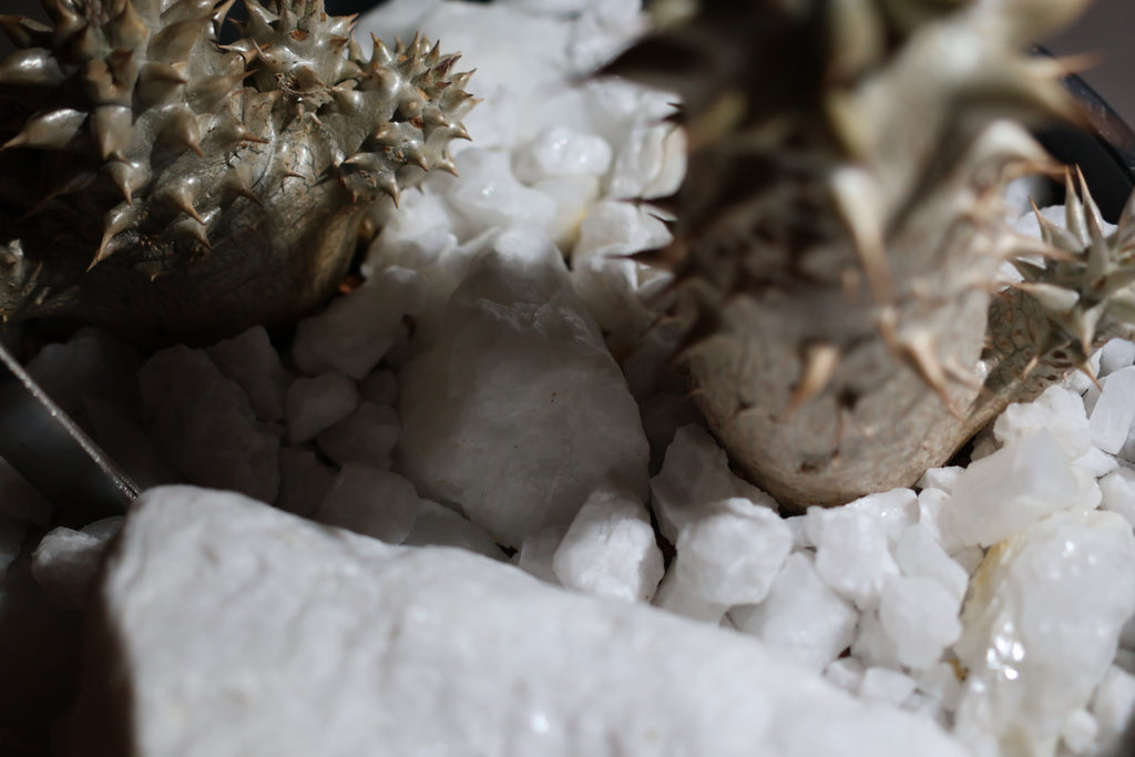 【SURFACE STONE】S_POLAR BEAR(白)_化粧石/ハビタットスタイル#artholic